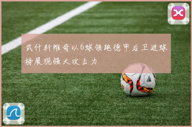 武什科维奇以6球领跑德甲后卫进球榜展现强大攻击力